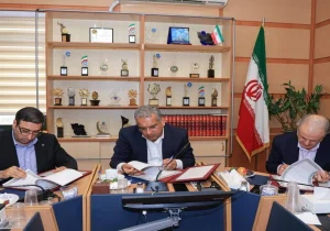 تحول در تأمین مالی بخش تعاون؛ بانک توسعه تعاون به سراغ «تأمین مالی زنجیره‌ای» رفت